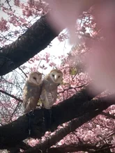 お散歩日和