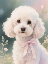 リボンをつけたかわいいプードル