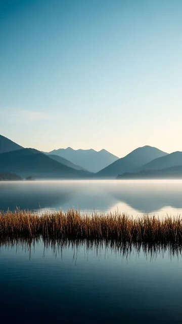 Minimalism
