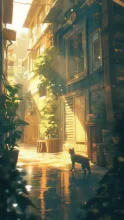 路地裏の猫
