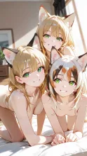 三毛