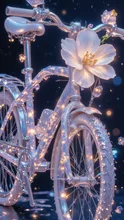実家の自転車です
