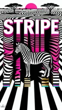 STRIPE🦓