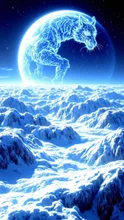 白虎座のみえる星