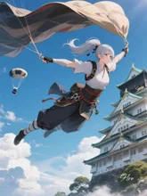 空から侵入