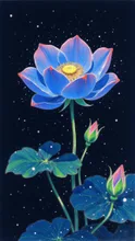 神秘