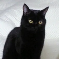 あっくん