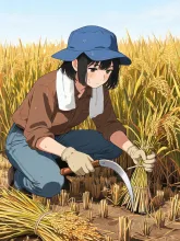 秋の稲穂刈り