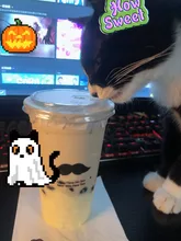 ψ(´ڡ` )ヤミーヤミーヤミーヤミー