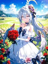 薔薇と青空