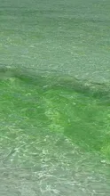 碧い海