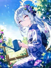 陽光とアサガオ
