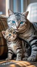 Mom and a kitten