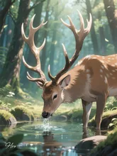 森の王