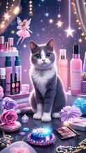 Twinkle cat -1