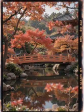 東福寺の紅葉