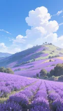 ラベンダー畑②