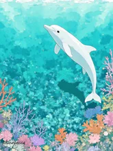 イルカと珊瑚礁