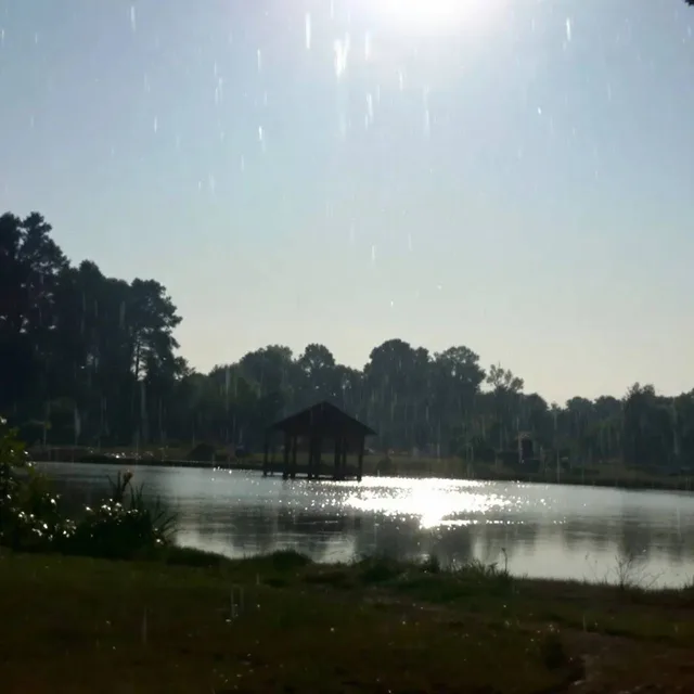 雨