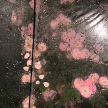 The art of rainy days — Ga_zzzさんのAIイラスト