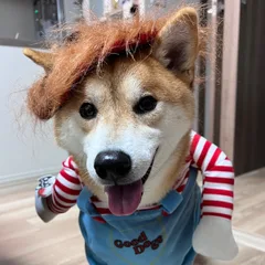 李偉