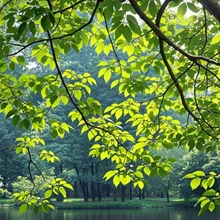 緑の日〜AI生成〜