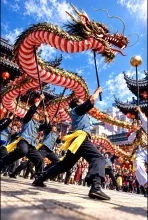龍踊を見上げる·長崎くんちの夜に の投稿作品