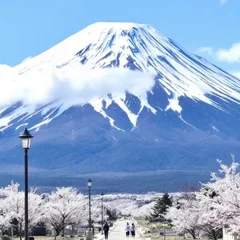 きゅうしゅううさ