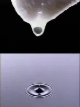 ドモホルンリンクル
