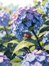 紫陽花