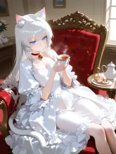 チンチラシルバー。名前はシロ。