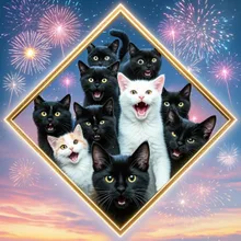 しろいこねこ、くろいこねこ