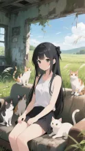 猫の隠れ家