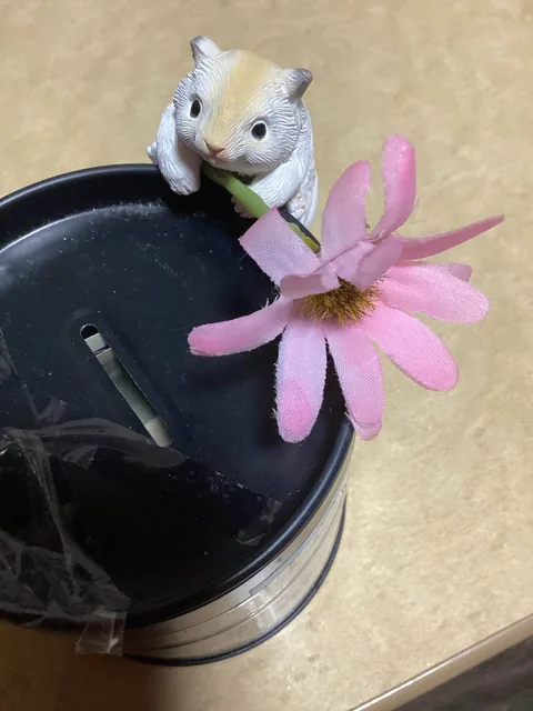 可愛い貯金箱 Kawaiiai