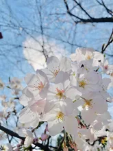 この向こうに