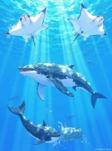 深海散歩