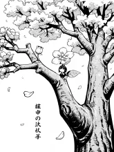 線だけの世界·塗らずに描く の投稿作品