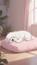 無論うちの子
