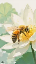 蜜蜂
