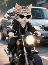 なめ猫