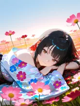 コスモス畑秋の夕暮れ