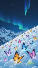 雪山に咲き誇る蝶華群