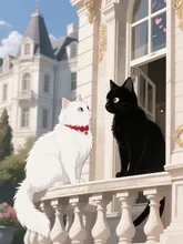 猫のロミオとジュリエット