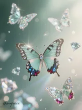 宝石の蝶々