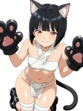 仔猫🩷