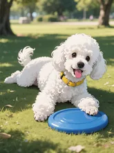 もっとあそんで！