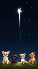 皆、流れ星になって