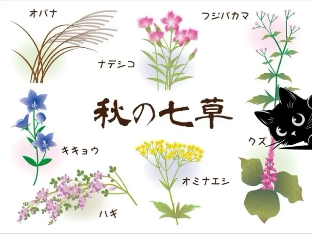 クロのことかにゃ?