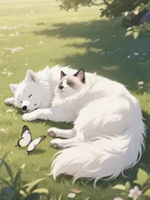 我が家のわんにゃん