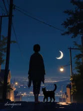 夜の散歩道